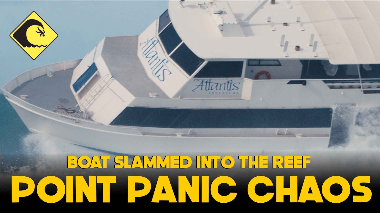 MAYHEM AT POINT PANIC AS YEAR’S BIGGEST SWELL ROLLS IN