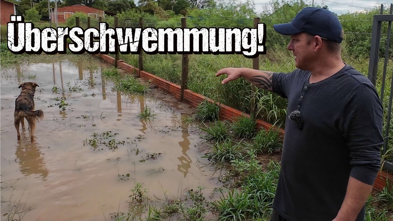 Nach Starkregen ⛈ Überschwemmung auf unserem Grundstück