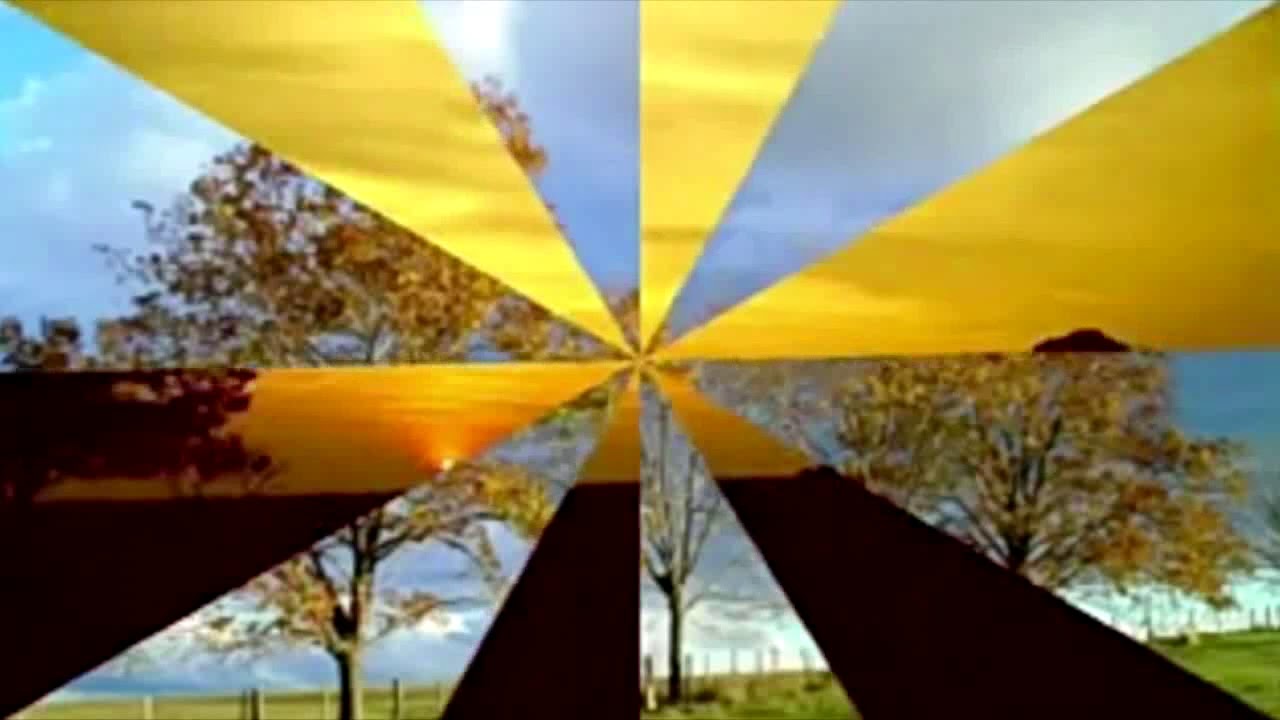 Cleomar Guglielmi e os Mirins - Jujo e Id&eacute;ia