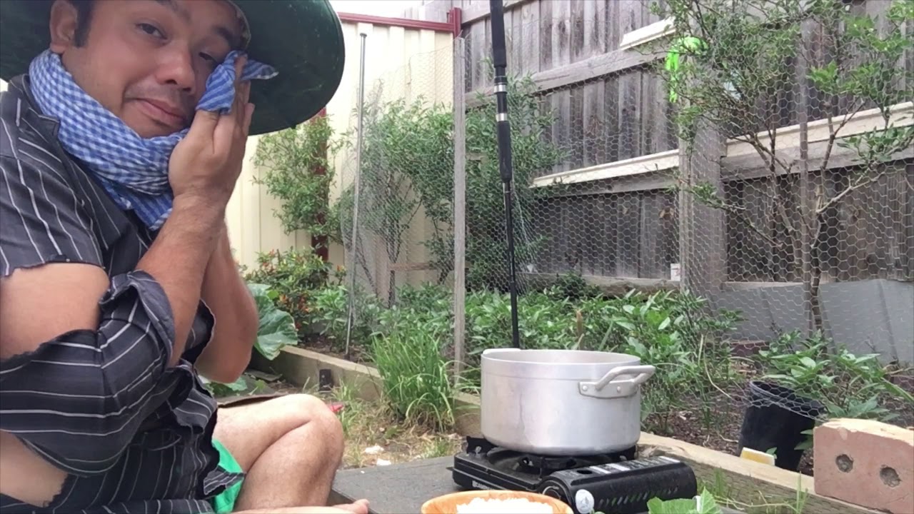 #VCN TV #Garden Khmer Australia#ចងបង្ហាញពីដំណាំបន្តិចបន្តួចចែកជូនបងប្អូនទស្សនាដើម្បីរលឹកអនុស្សាវរីយ៍