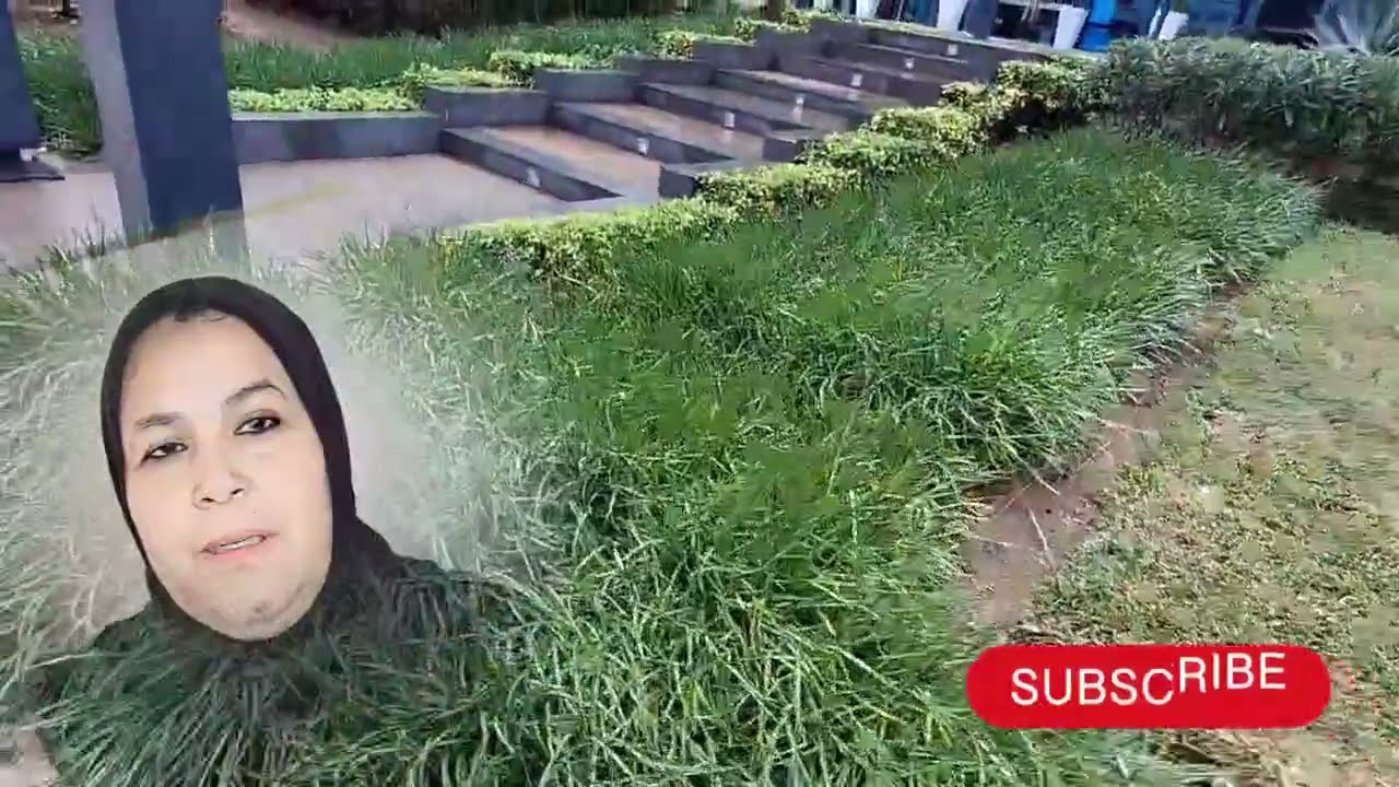 😱🔥عتقو المهتور شداه الفقصه على المحتوى وكتبرد الغدايد😲 بالوعود👌