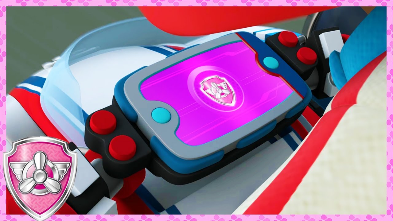 Ryder Chooses Skye! (Compilation) | Skye - Paw Patrol & Friends | Cartoons For Kids