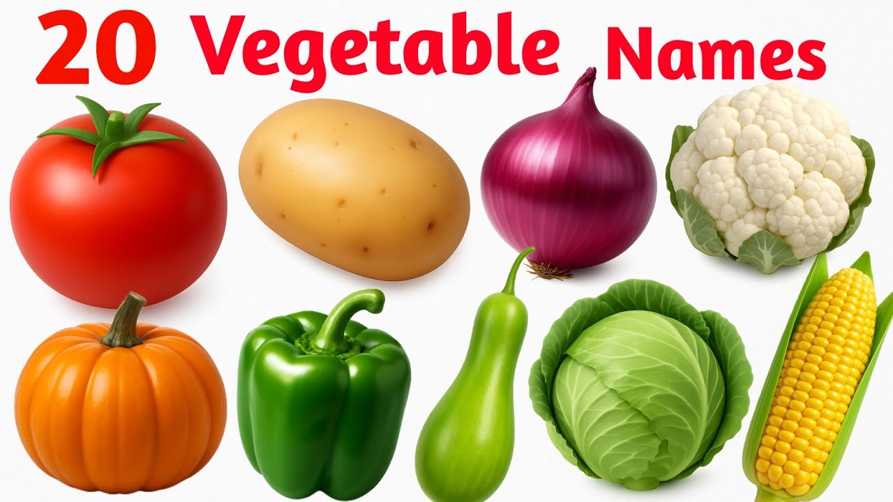 20 vegetable names for kids|Learn20 vegetable names in english|English vocabulory