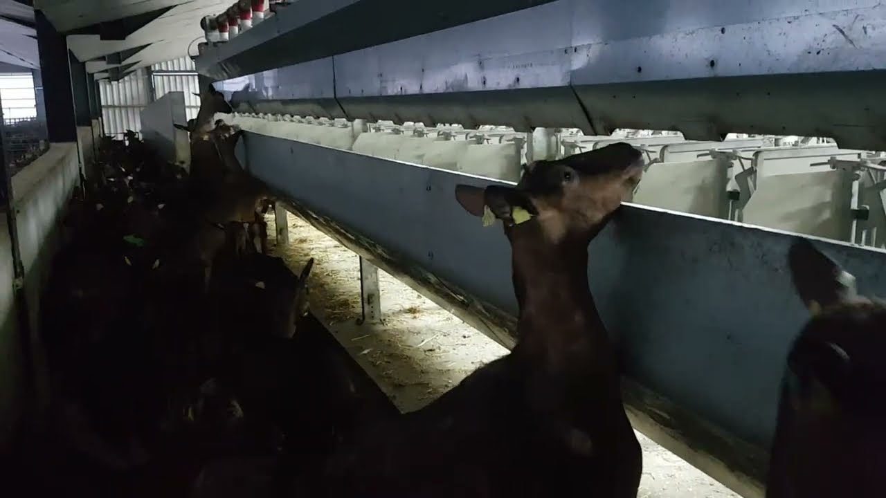 La Ferme de Quentin