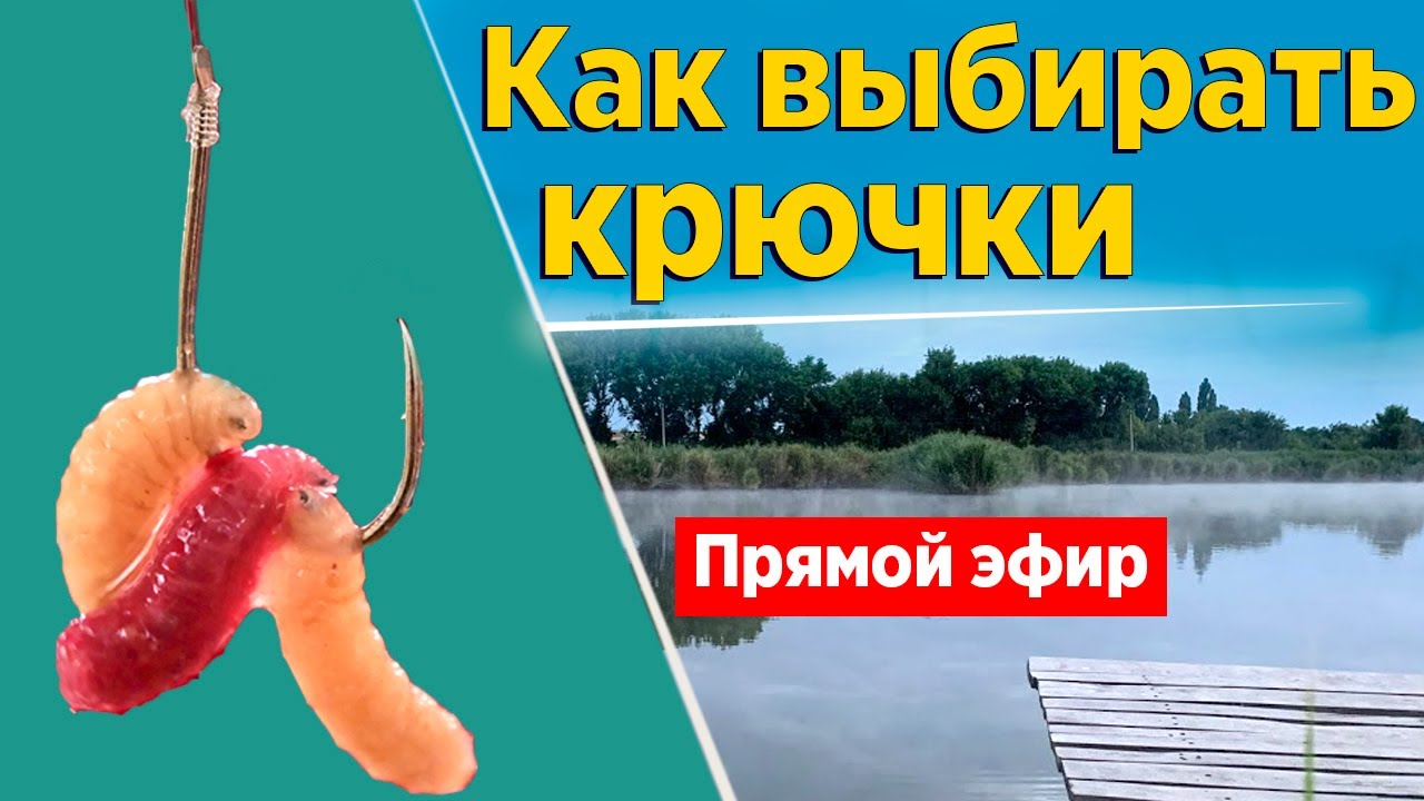 Как выбирать крючки для фидерной рыбалки