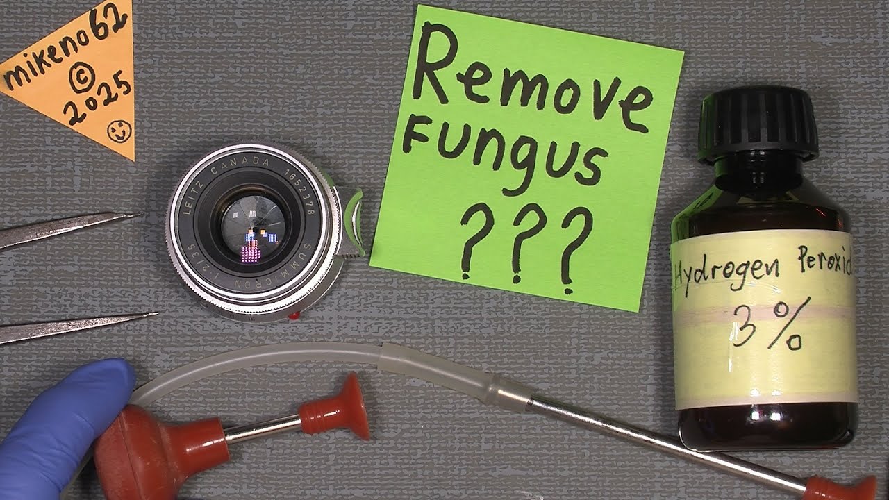 Remove some old Fungus in Leica Summicron 1:2 / 35 Made in Canada
