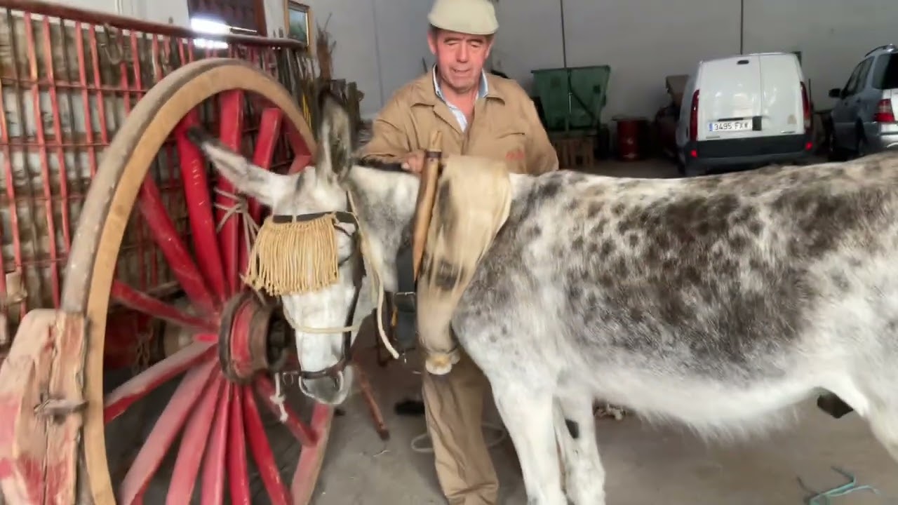 Paseo en carro del abuelo Juan Angel y su nieto Juan