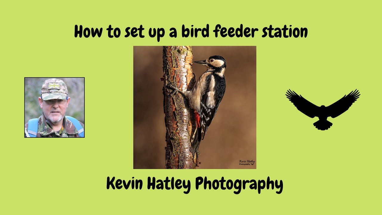How to set up a Bird Feeder Station in a wood.