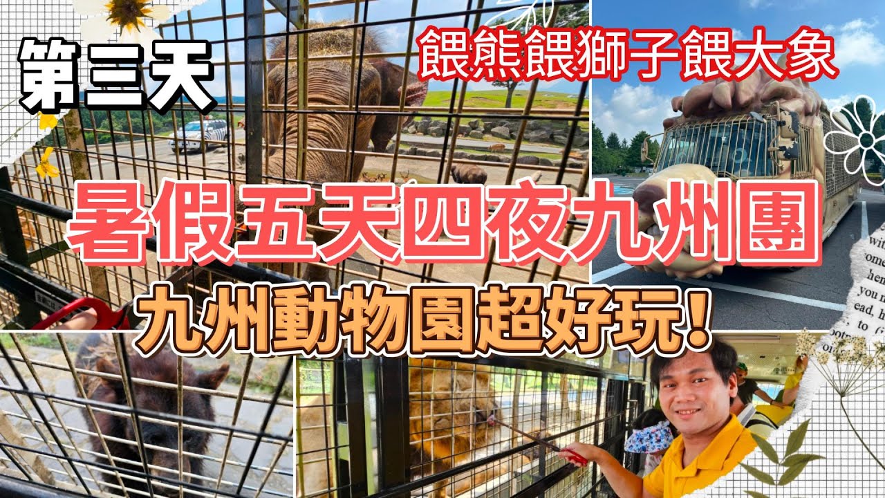 2024暑假日本九州跟團第三天(九州自然動物園(餵獅子餵熊！) → 阿蘇大觀峰展望台(遠眺阿蘇五岳)→草千里之濱~眺望阿蘇火山口~ 加贈冰淇淋 →阿蘇格蘭溫泉飯店