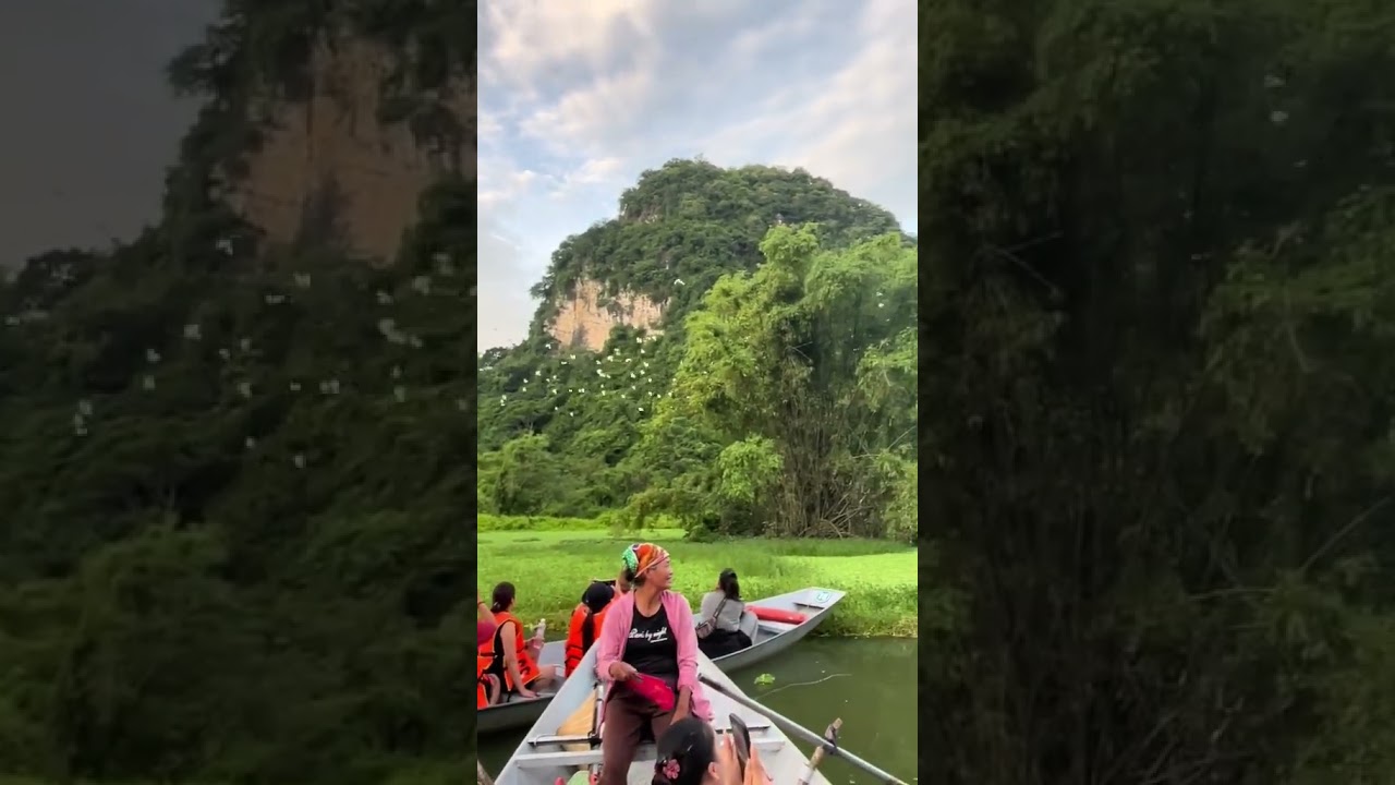 A River of Birds &ndash; Thung Nham Bird Park, Vietnam