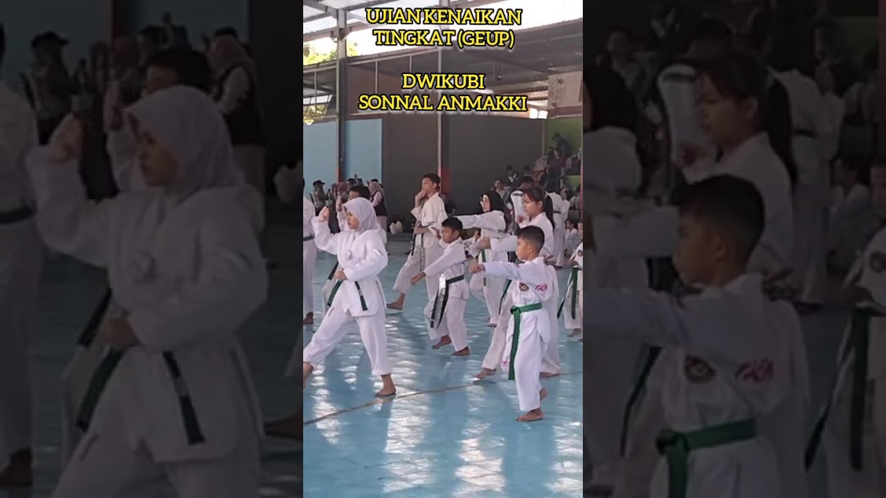Ujian Kenaikan Tingkat Sabuk Taekwondo DWIKUBI SONNAL ANMAKKI