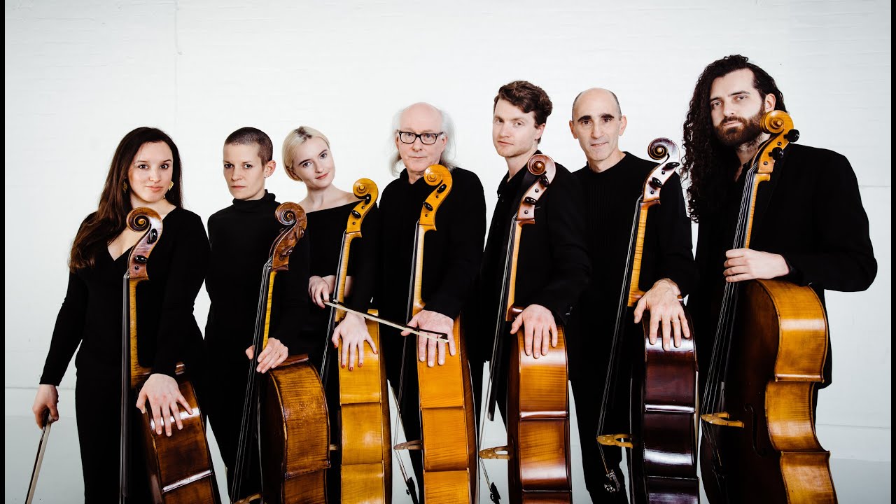 The Boxer - Massive Violins