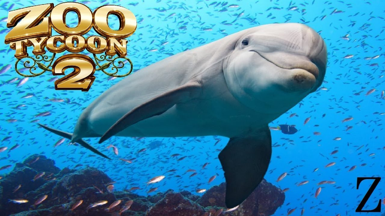 Zoo Tycoon Exhibit Speed Build || Bottlenose Dolphin