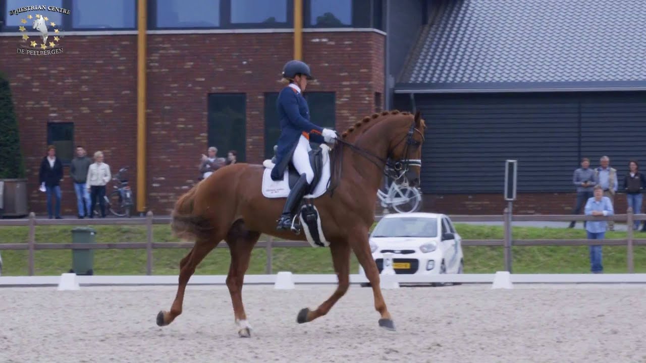 Emmelie Scholtens - Dorado (v. Krack C) stallion