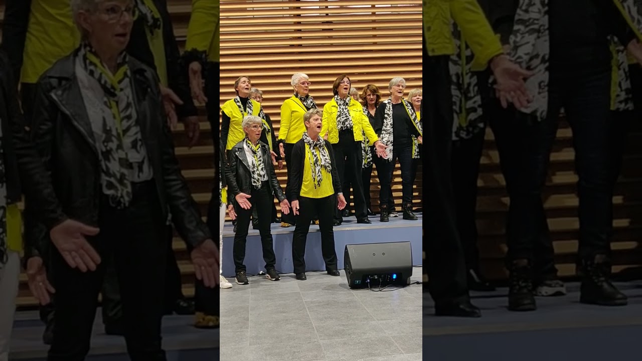 POPKOOR NOISZ: WAAR SAMEN ZINGEN EN GEZELLIGHEID VOOROP STAAT 🕺🎶💃