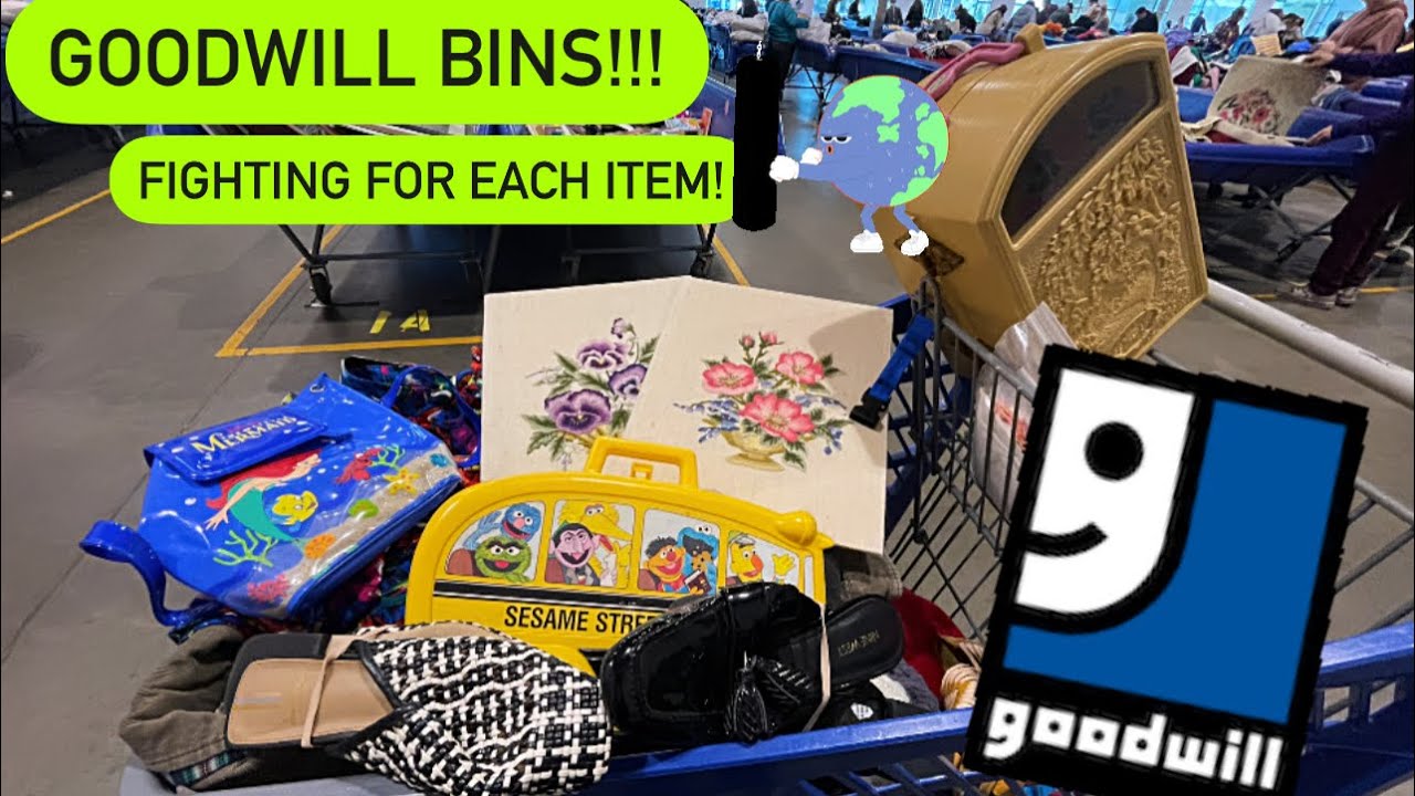Let’s GO To Goodwill Bins! The Bins Will Break YOU! A Lady Lost Her MIND! 🫣Fighting For The Goods!