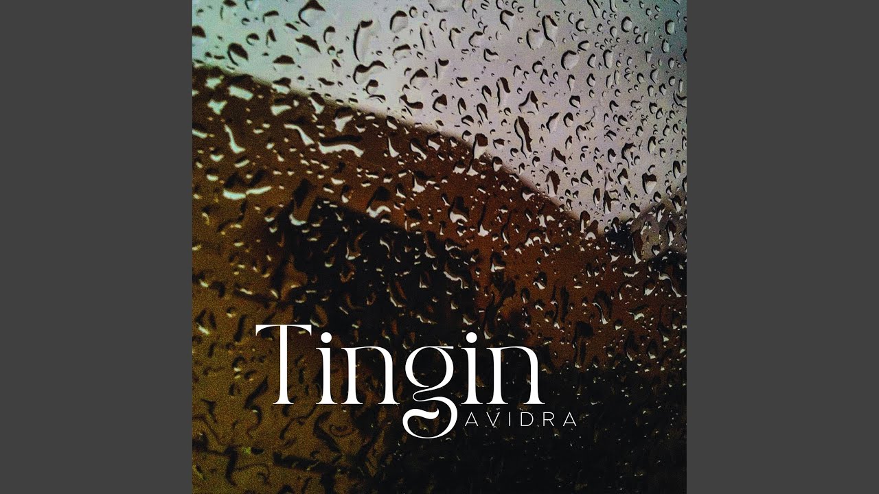 Tingin