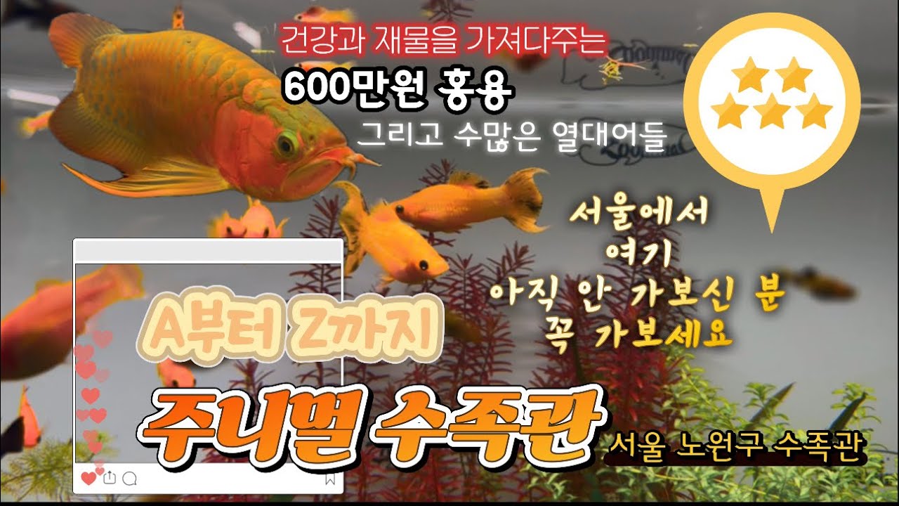 수족관 탐방 8번째 이야기 (주니멀 수족관과 수족관 카페-서울 노원구)