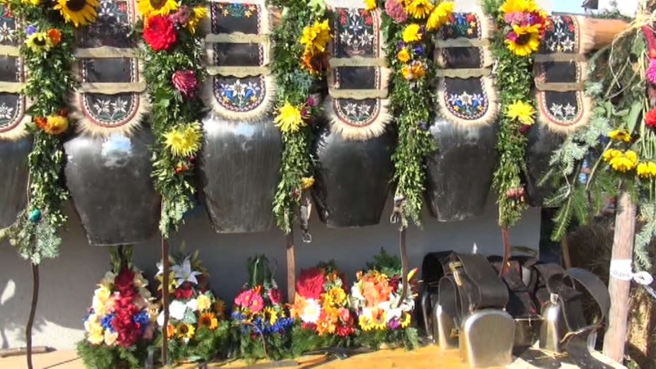 Viehschau Oberegg 2013