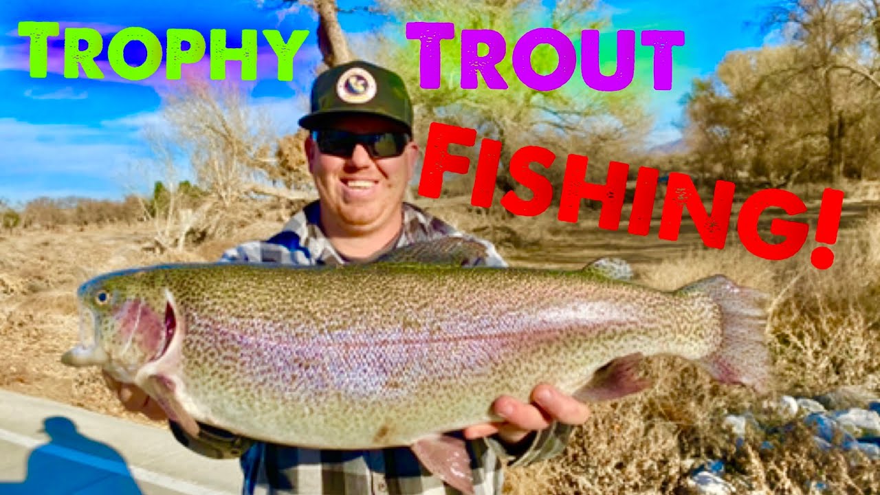 Mojave Narrows CA Trophy Trout Fishing | Mini jigging | Drop shot  | Rainbow & Lightning trout