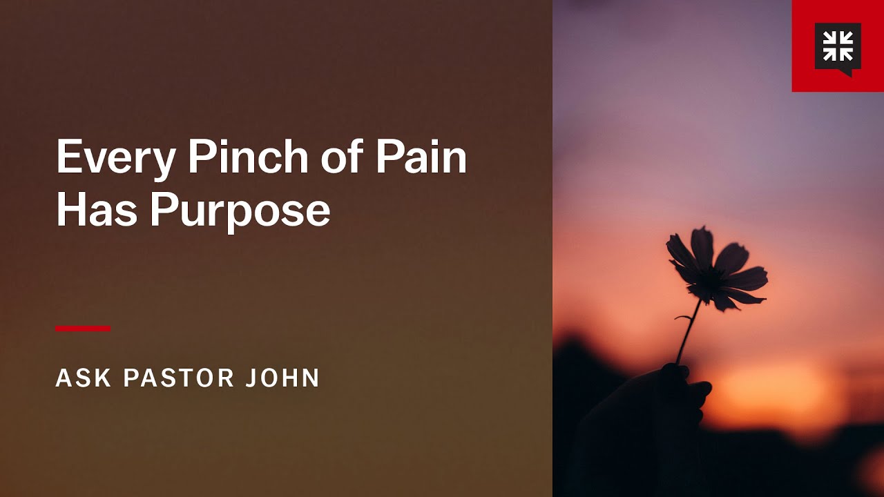 Every Pinch of Pain Has Purpose