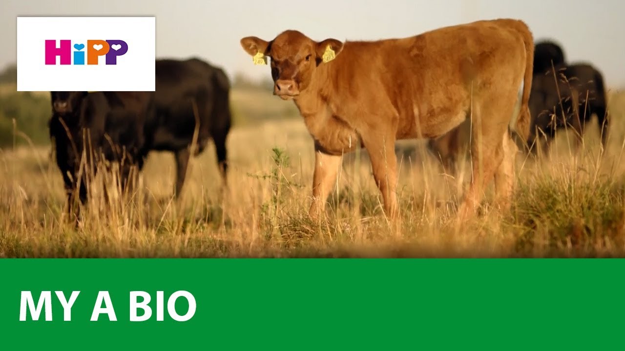 HiPP BIO farmaření a chov dobytka