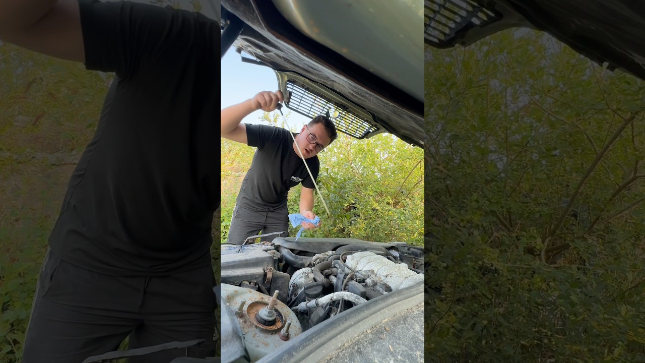 Trying to start ABANDONED Lexus in car graveyard ended badly&hellip; #cargraveyard #abandoned #hiddengems