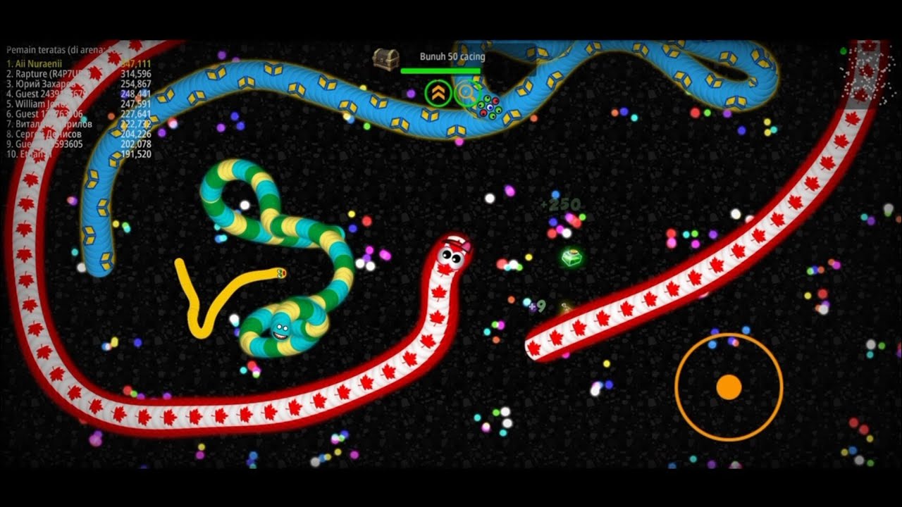 Main Game Cacing lagi
