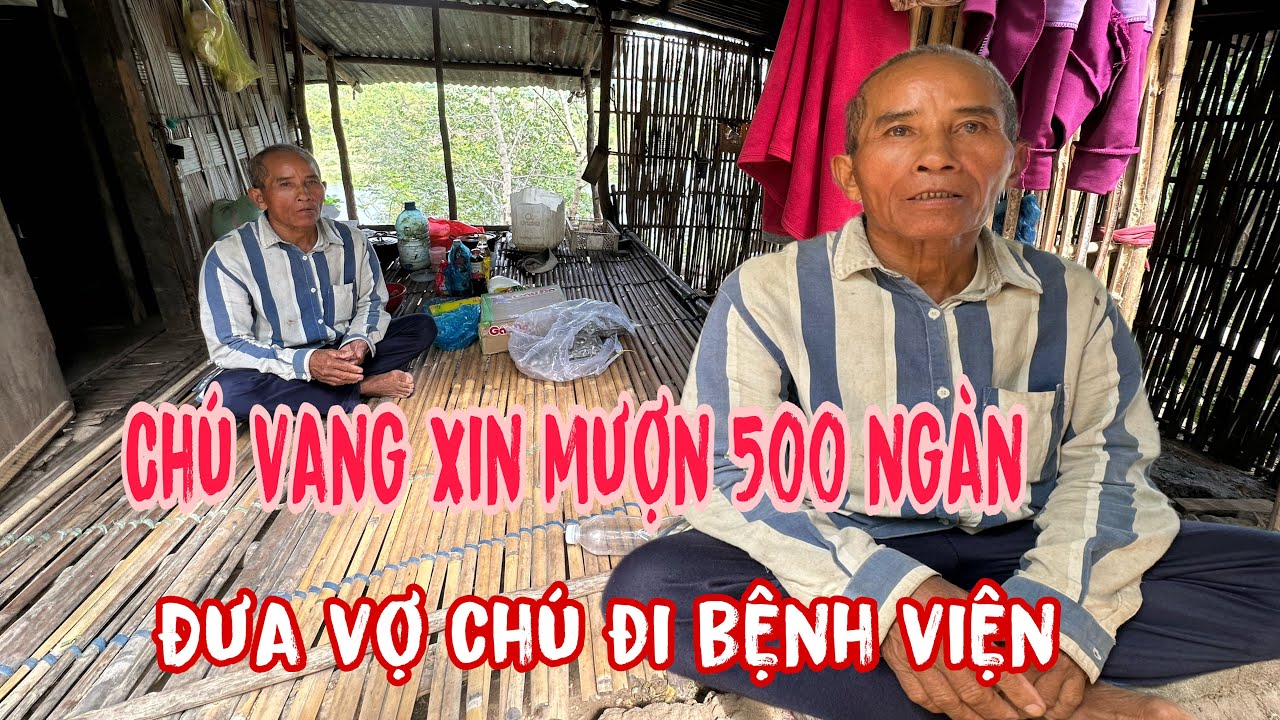 Người đàn ông sống trên núi.không biếc gì ..ăn khoai lan sống qua ngày..!