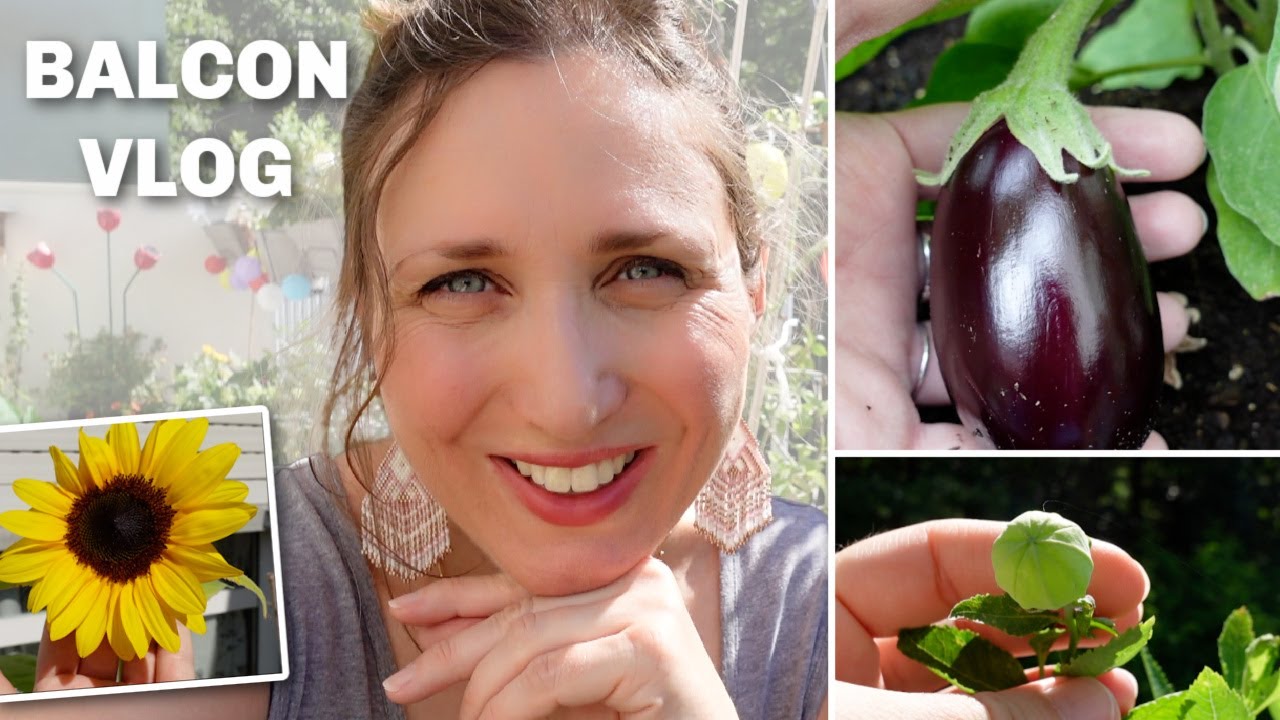 👩🏼‍🌾 BALCON VLOG : PREMIÈRES RÉCOLTES AU POTAGER ! 🥒🍆🍅🌸🌻
