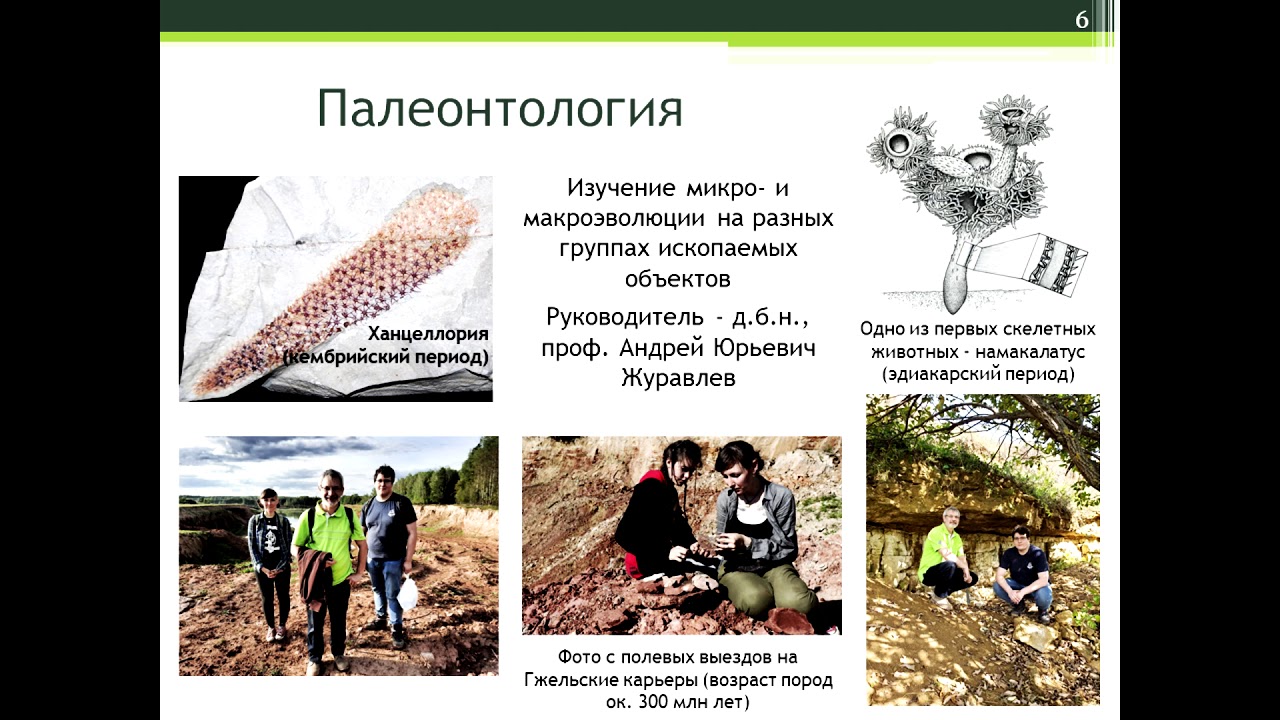 Кафедра биологической эволюции