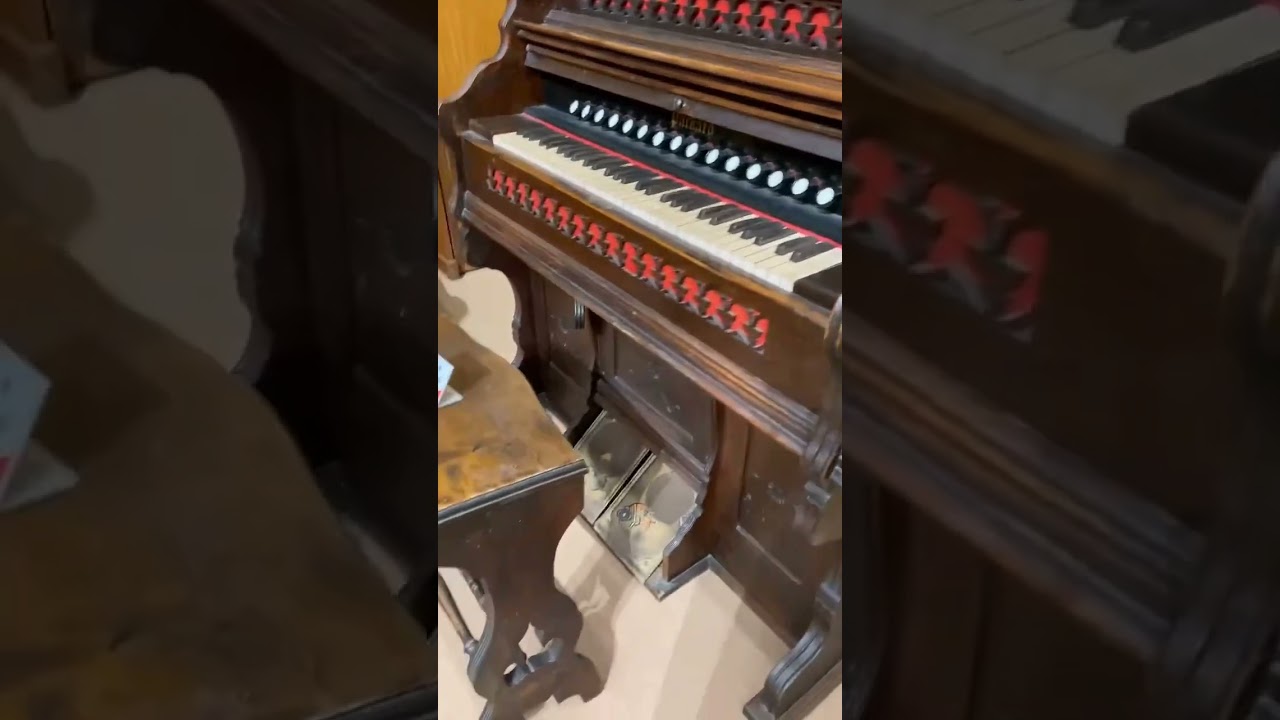 Shenzhen, China｜Longhua Piano Museum Visit Tour