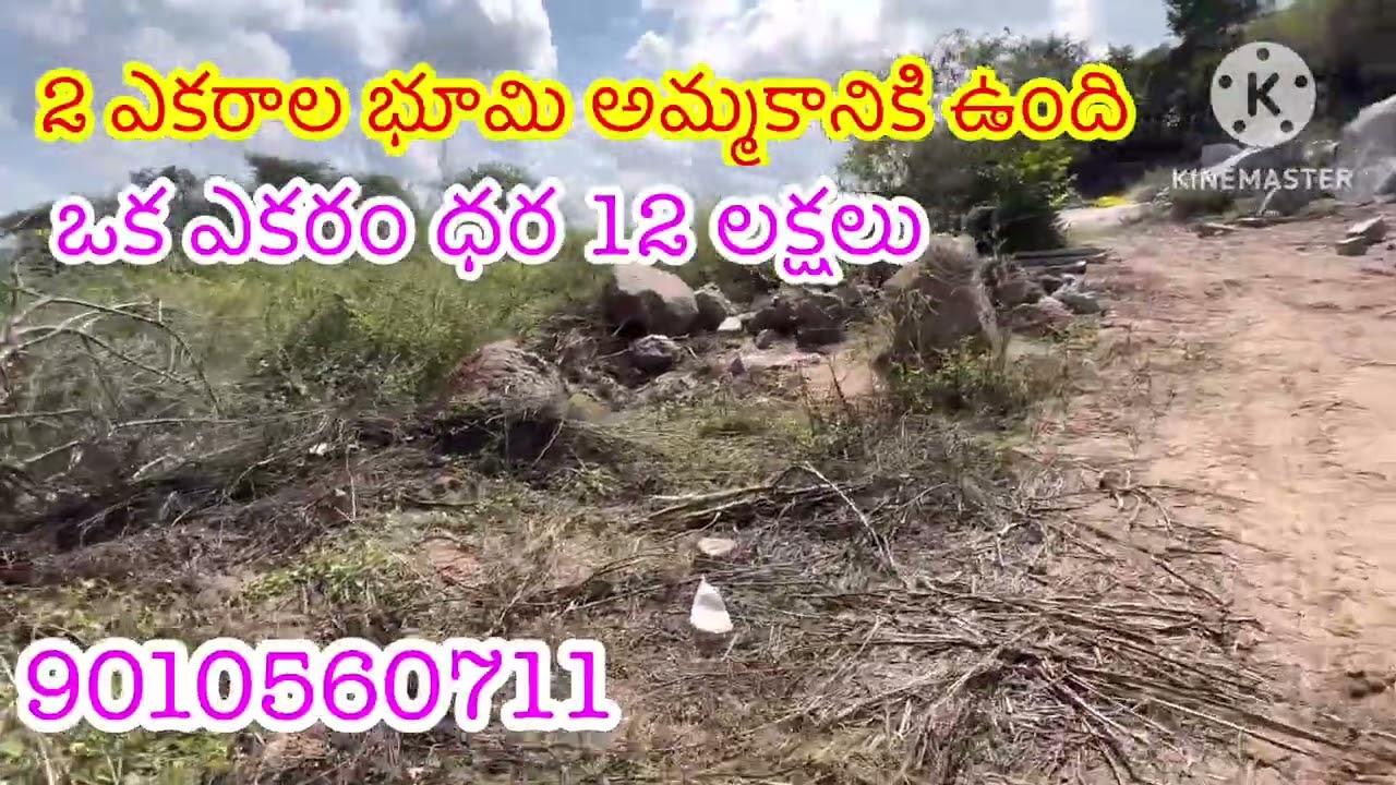 ￼  2 ఎకరాల భూమి అమ్మకానికి ఉంది ఒక ఎకరం ధర 12 లక్షలు జనగామ జిల్లా రిజిస్ట్రేషన్ జనగాం 9010560711