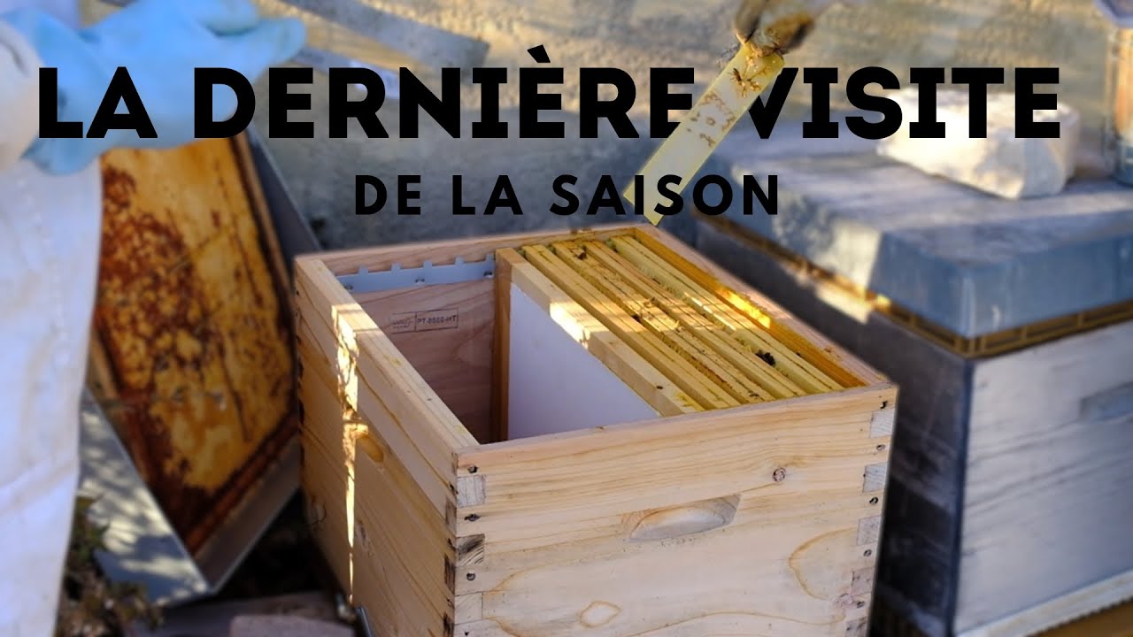 La visite de cl&ocirc;ture : comment pr&eacute;parer vos ruches pour 5 mois d&rsquo;hiver