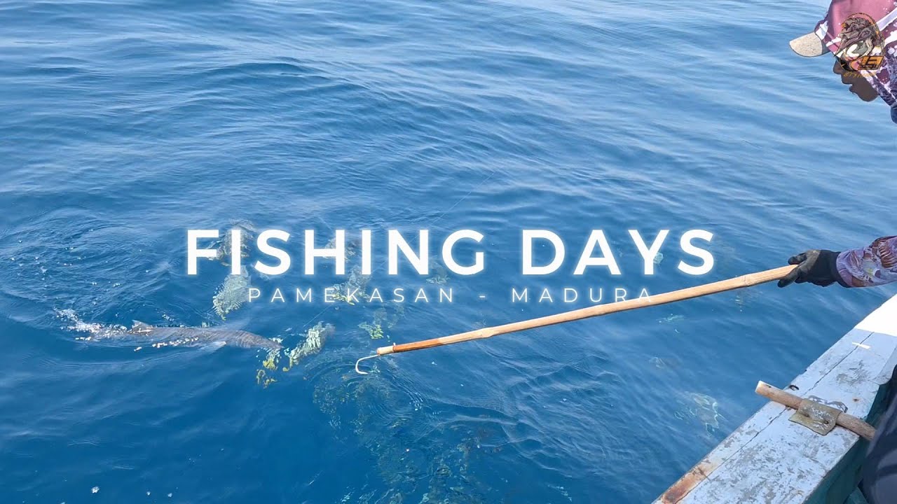 Strike Kakap Merah bertubi-tubi di Laut Pamekasan Madura
