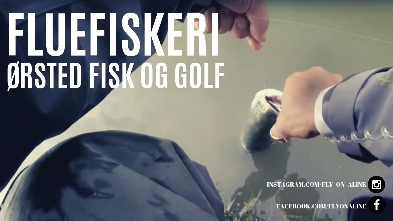 Fluefiskeri/ tørfluefiskeri - Ørsted Fisk og Golf