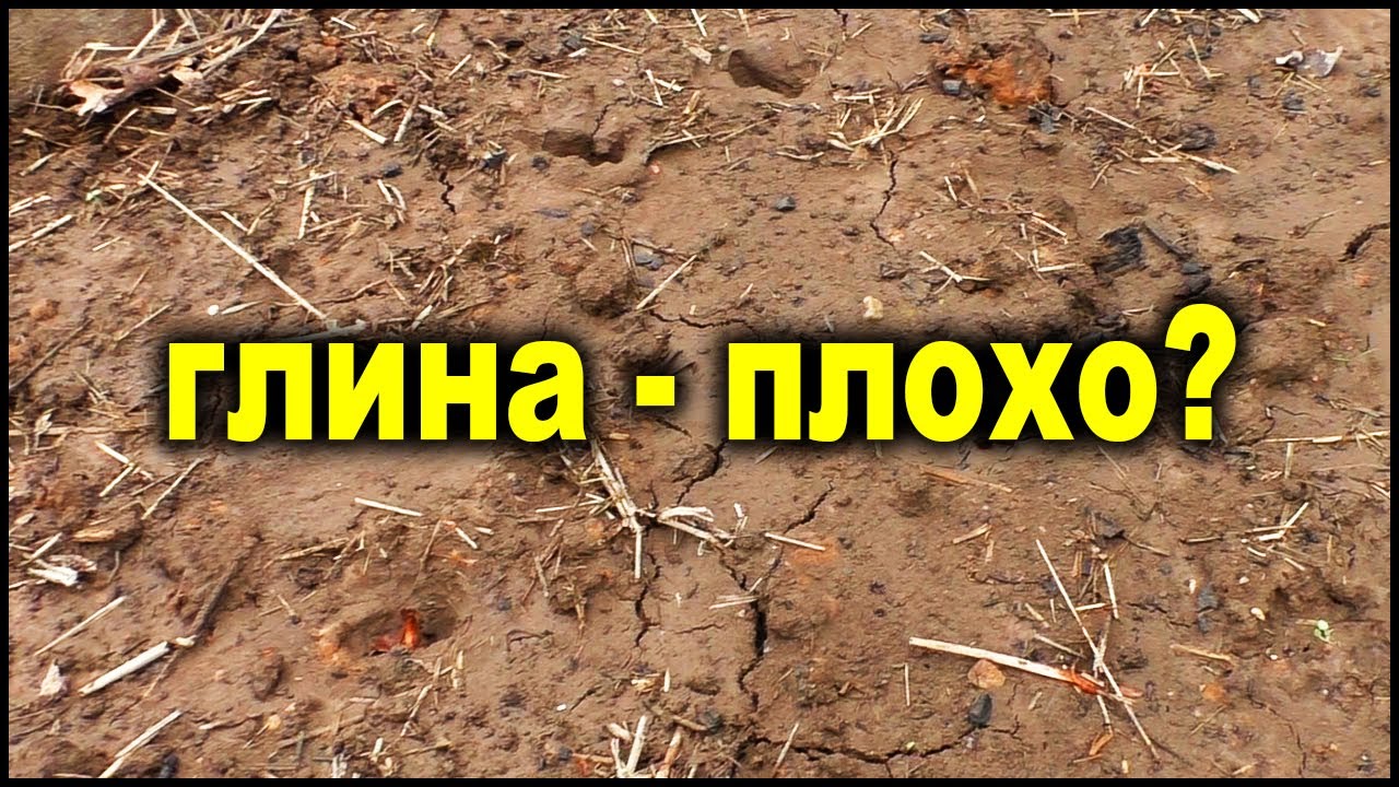 Самая лучшая почва - глина!