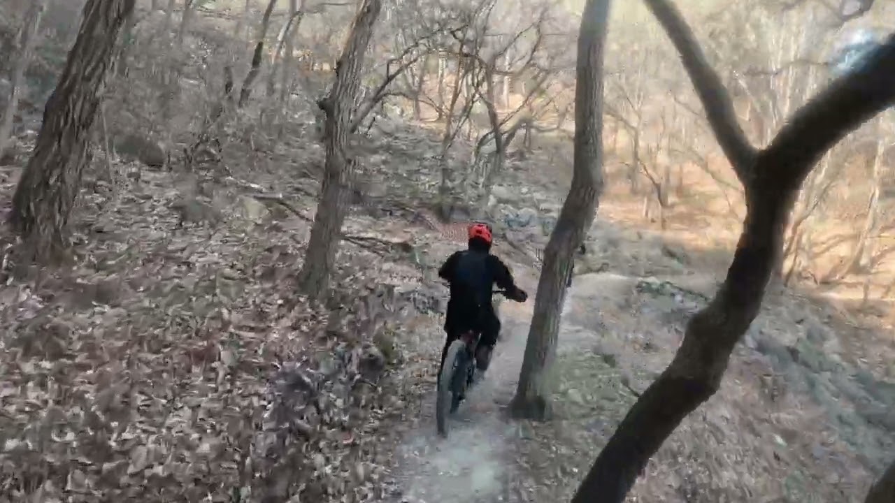 26.2.4 마이웨이 #백양산 여기저기 # R 올챙이행님 # 영조누님#주호행님#코스짱행님 C 덤핑맨 