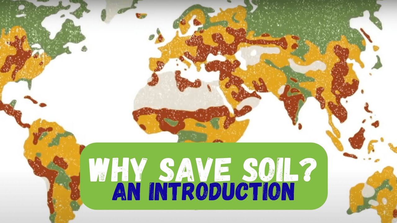 Why Save Soil? An Introduction