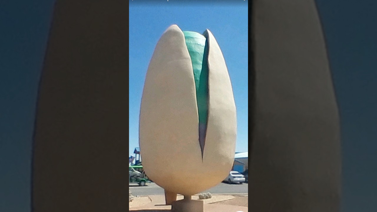 I found The World's Largest Pistachio 
