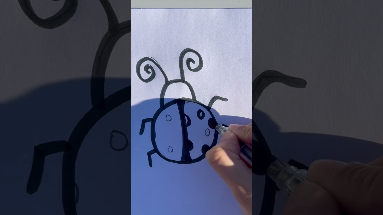 Draw Ladybug 