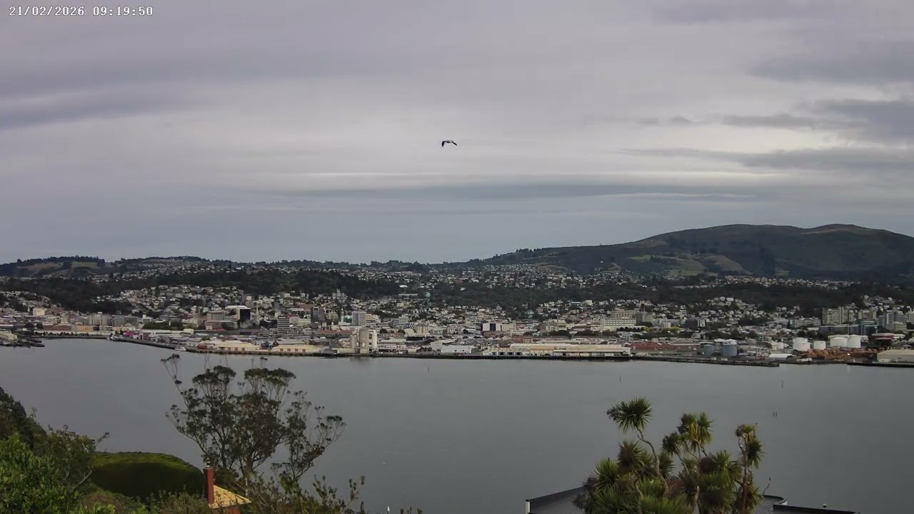 21-02-2026 - Dunedin, NZ: Timelapse