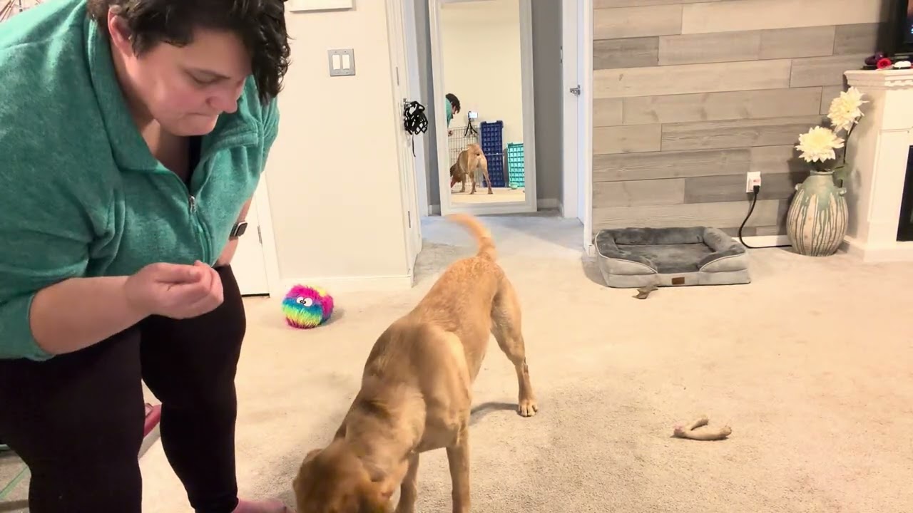 1/16/2026 Proofing the Hold with Food