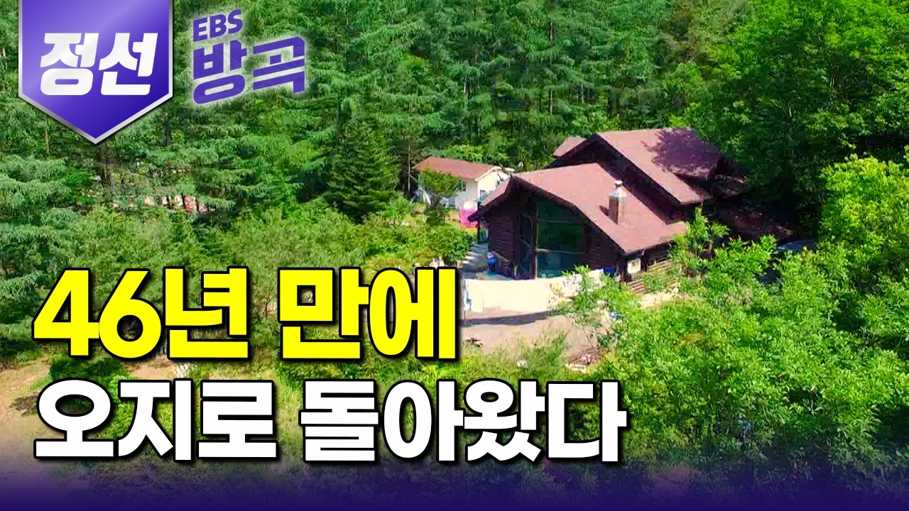 [강원 정선] 고요히 살고싶어 복잡한 도시 떠나 고향 오지에서 8년째｜폐자재 주워다 만든 창고에다 숲속책방 하나 열어 단둘이 들어온 부부｜덕산리｜단임골｜#한국기행 #방방곡곡