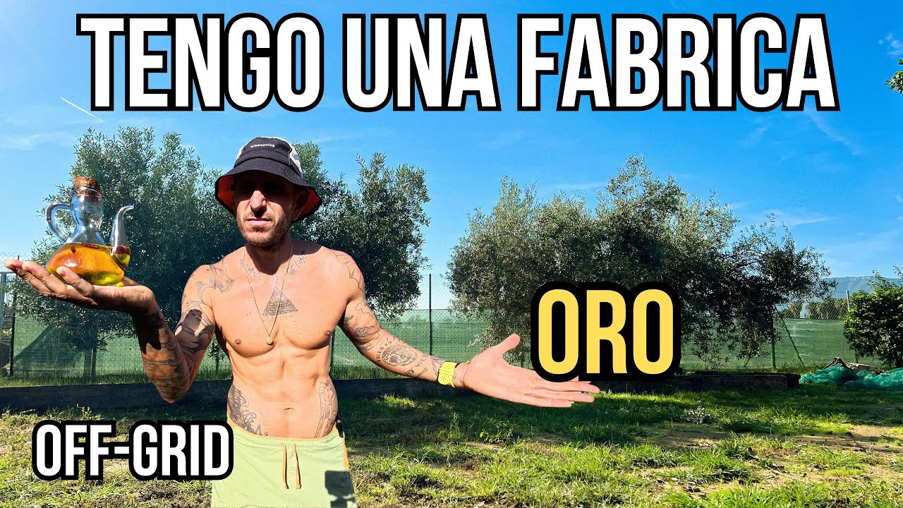 #vlog 3  off-grid farm - “Recojo mis aceitunas para hacer mi propio ACEITE 🫒”