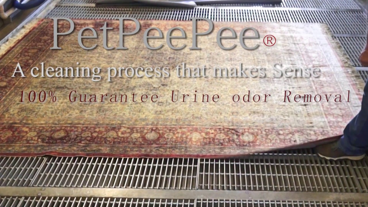 Clean Persian Rug - By PetPeePee company