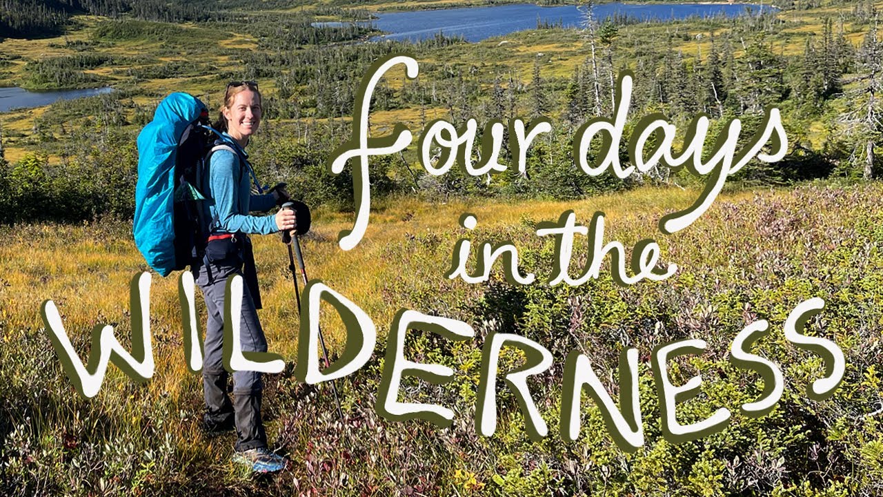 Adventures in Newfoundland: nature & art vlog 🌲