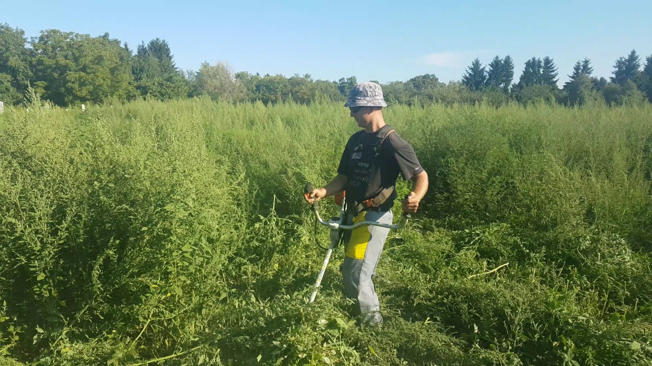 Stihl fs 410c (k&eacute;ssel)