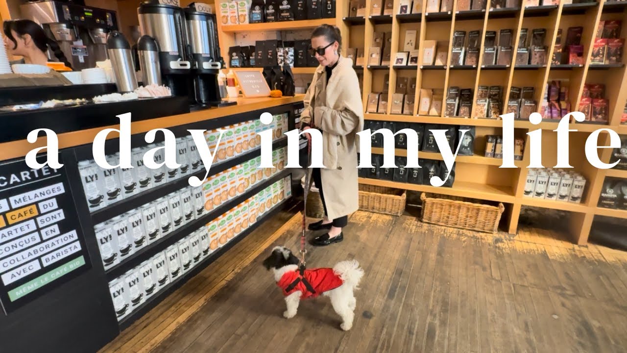 Homebody Diaries | wfh vlog: slow autumn morning, financial check-in & a cozy friday night in