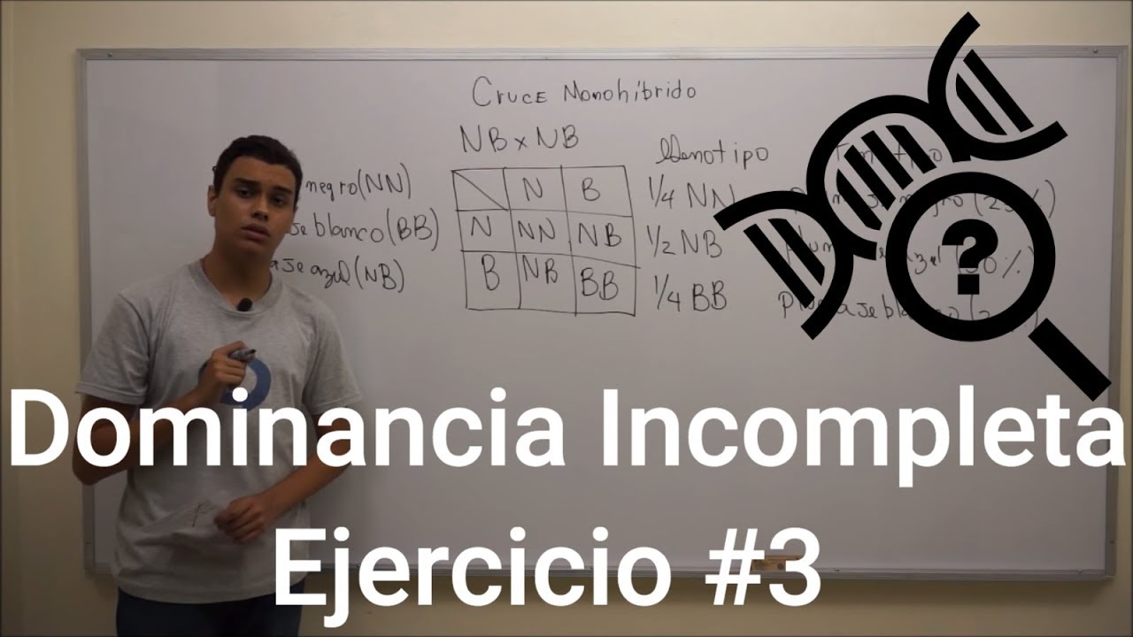 Cruces Monohíbridos | Dominancia Incompleta - Ejercicio #4